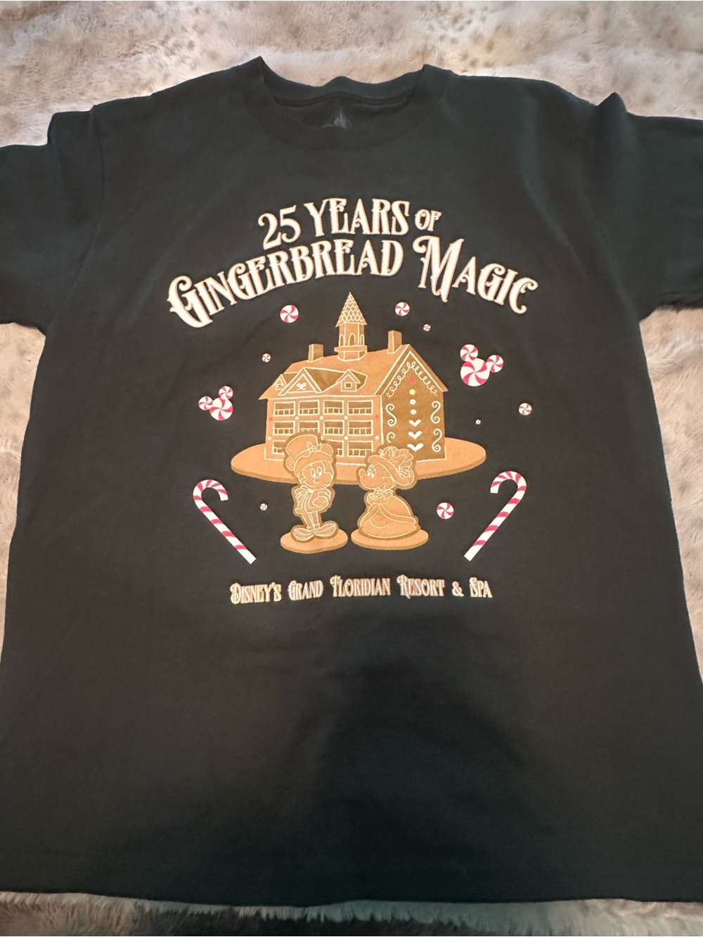 Disney world grand Floridian gingerbread house boys shirt